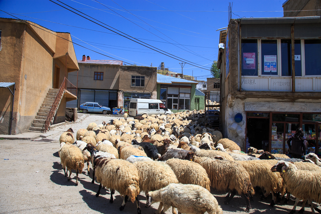 Başkale (Adamakert)